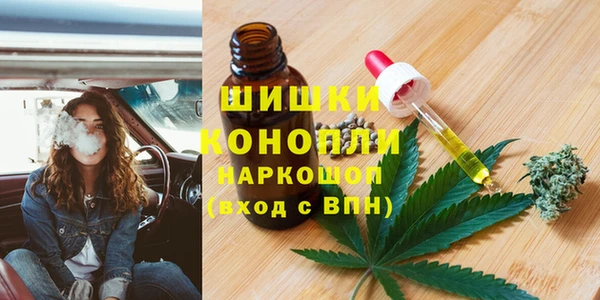 индика Балахна