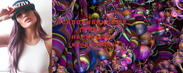 индика Балахна