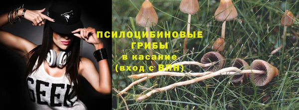индика Балахна