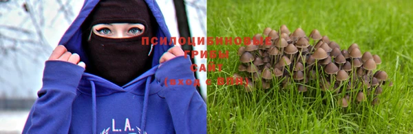 бутират Баксан